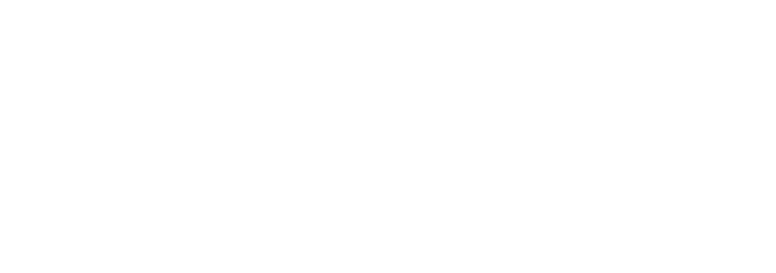 logo BreezeMed PNG-blanco